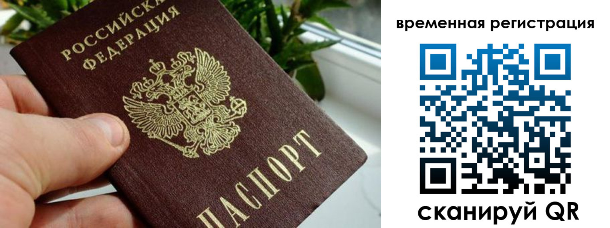 прописка поиск в Шали